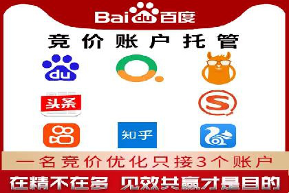 竞价推广实战：案例分析行业领军企业的成功之道